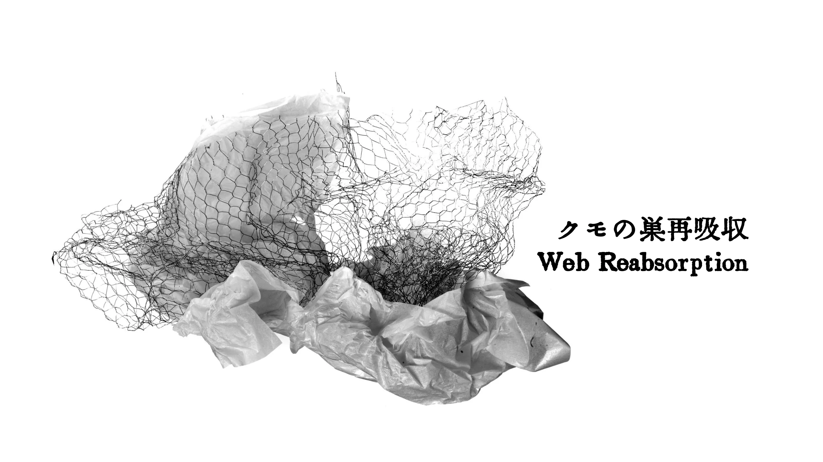 cover.webp